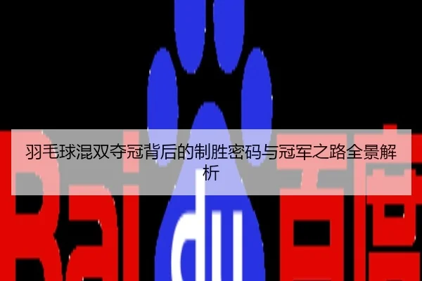 羽毛球混双夺冠背后的制胜密码与冠军之路全景解析